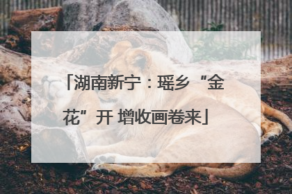 湖南新宁：瑶乡“金花”开 增收画卷来