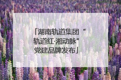 湖南轨道集团“轨道红·湘动脉”党建品牌发布