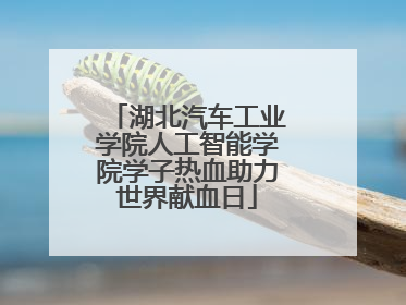 湖北汽车工业学院人工智能学院学子热血助力世界献血日