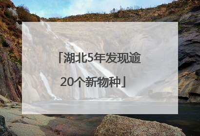 湖北5年发现逾20个新物种