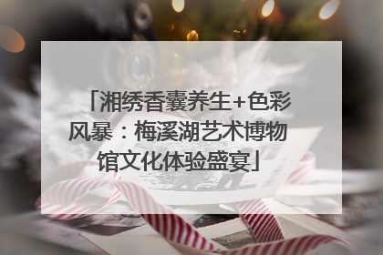 湘绣香囊养生+色彩风暴：梅溪湖艺术博物馆文化体验盛宴