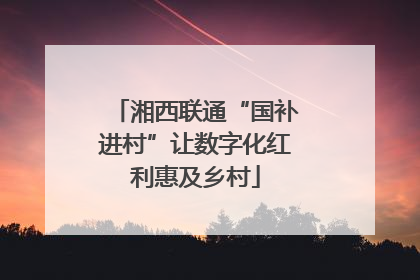 湘西联通“国补进村”让数字化红利惠及乡村