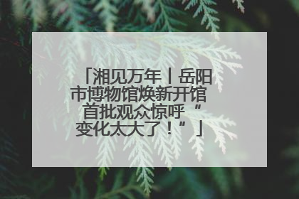 湘见万年丨岳阳市博物馆焕新开馆 首批观众惊呼“变化太大了！”