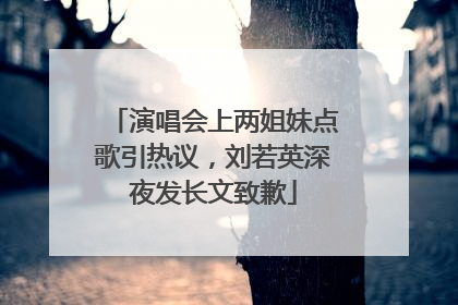 演唱会上两姐妹点歌引热议，刘若英深夜发长文致歉