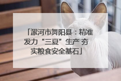 漯河市舞阳县：精准发力“三夏”生产 夯实粮食安全基石