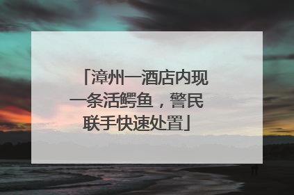 漳州一酒店内现一条活鳄鱼，警民联手快速处置