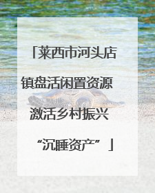 莱西市河头店镇盘活闲置资源 激活乡村振兴“沉睡资产”