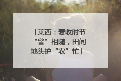 莱西：麦收时节“警”相随，田间地头护“农”忙