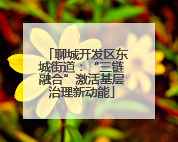 聊城开发区东城街道：“三链融合”激活基层治理新动能