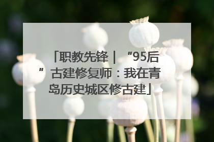 职教先锋｜“95后”古建修复师：我在青岛历史城区修古建