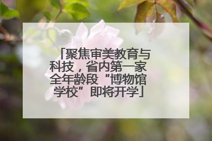 聚焦审美教育与科技，省内第一家全年龄段“博物馆学校”即将开学