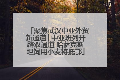 聚焦武汉中亚外贸新通道│中亚班列开辟双通道 哈萨克斯坦饲用小麦将抵鄂