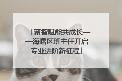 聚智赋能共成长——海曙区班主任开启专业进阶新征程
