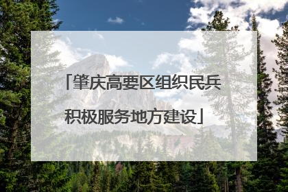 肇庆高要区组织民兵积极服务地方建设