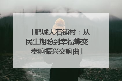 肥城大石铺村：从民生期盼到幸福蝶变奏响振兴交响曲