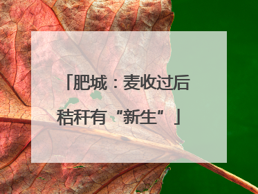 肥城：麦收过后秸秆有“新生”