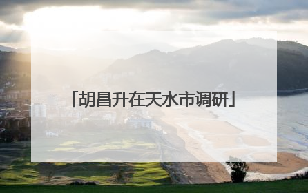 胡昌升在天水市调研