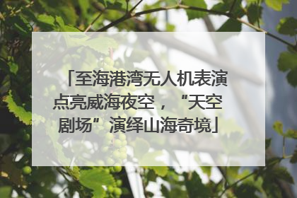 至海港湾无人机表演点亮威海夜空，“天空剧场”演绎山海奇境