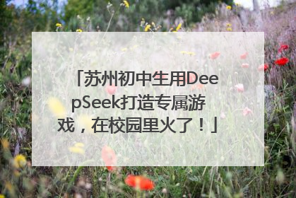 苏州初中生用DeepSeek打造专属游戏，在校园里火了！