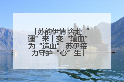 苏韵伊情 奔赴“疆”来丨变“输血”为“造血” 苏伊接力守护“心”生