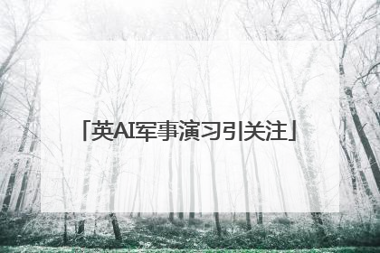 英AI军事演习引关注