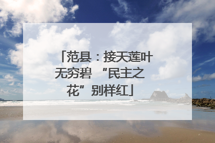范县：接天莲叶无穷碧 “民主之花”别样红