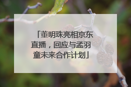董明珠亮相京东直播，回应与孟羽童未来合作计划