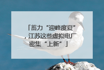 蓄力“迎峰度夏”，江苏这些虚拟电厂密集“上新”