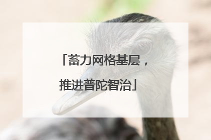 蓄力网格基层，推进普陀智治