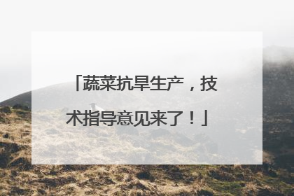 蔬菜抗旱生产，技术指导意见来了！