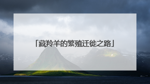 藏羚羊的繁殖迁徙之路