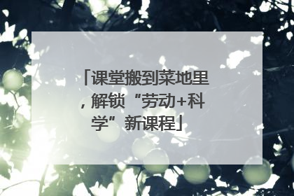 课堂搬到菜地里，解锁“劳动+科学”新课程