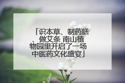 识本草、制药膳、做艾条 南山植物园里开启了一场中医药文化盛宴