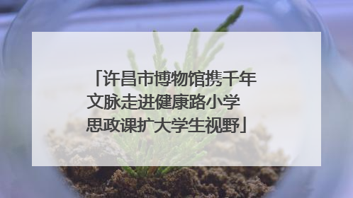 许昌市博物馆携千年文脉走进健康路小学 思政课扩大学生视野