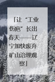 让“工业伤疤”长出春天——辽宁加快废弃矿山治理观察