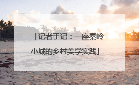 记者手记：一座秦岭小城的乡村美学实践