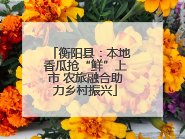 衡阳县：本地香瓜抢“鲜”上市 农旅融合助力乡村振兴