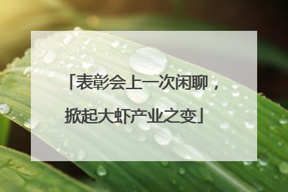 表彰会上一次闲聊，掀起大虾产业之变