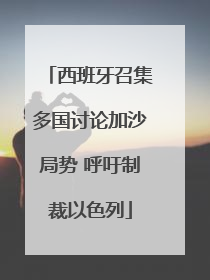 西班牙召集多国讨论加沙局势 呼吁制裁以色列