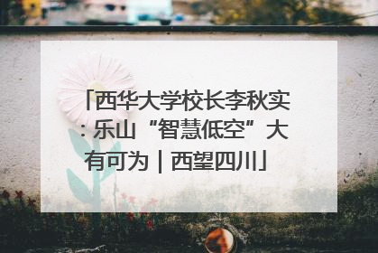 西华大学校长李秋实：乐山“智慧低空”大有可为｜西望四川