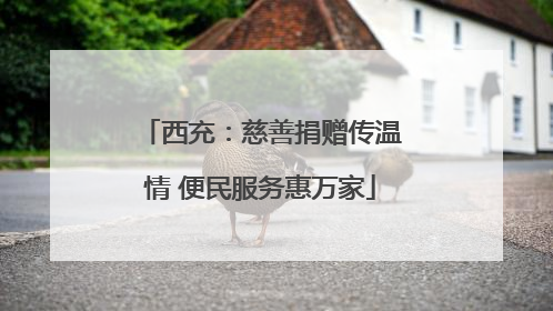 西充：慈善捐赠传温情 便民服务惠万家