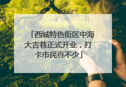 西城特色街区中海大吉巷正式开业，打卡市民真不少