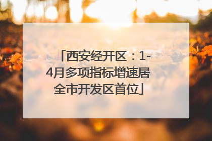 西安经开区：1-4月多项指标增速居全市开发区首位