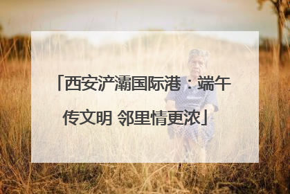 西安浐灞国际港：端午传文明 邻里情更浓