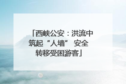 西峡公安：洪流中筑起“人墙” 安全转移受困游客