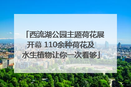 西流湖公园主题荷花展开幕 110余种荷花及水生植物让你一次看够