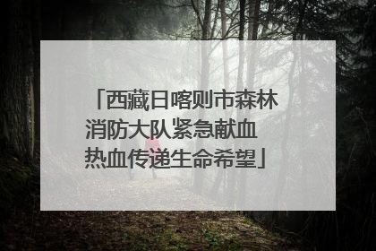 西藏日喀则市森林消防大队紧急献血 热血传递生命希望