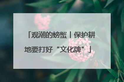 观潮的螃蟹丨保护耕地要打好“文化牌”