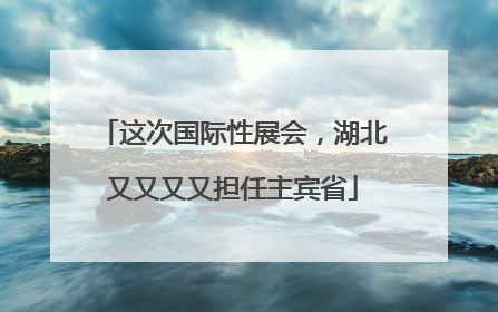 这次国际性展会，湖北又又又又担任主宾省