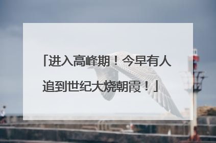 进入高峰期！今早有人追到世纪大烧朝霞！